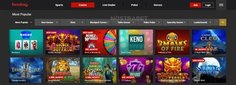bodog esports|E.